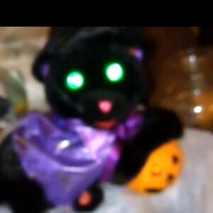 Black and Purple Animated Cat with Pumpkin